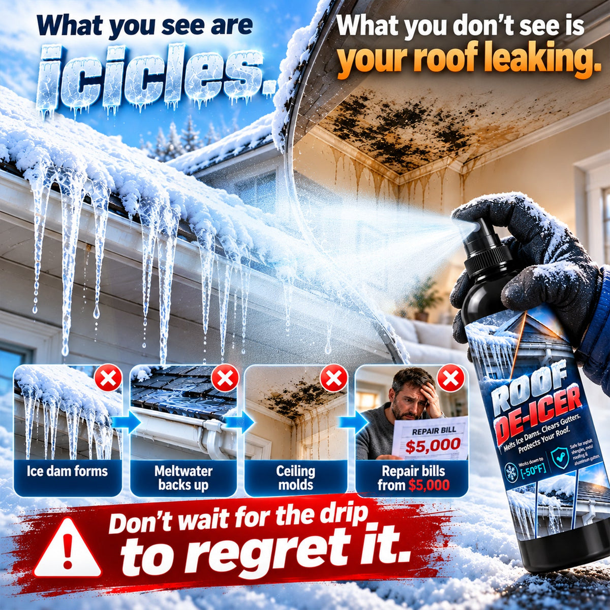 Roof Snow & Ice Melt